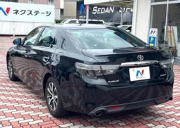 
										2017 MARK X 250S full									