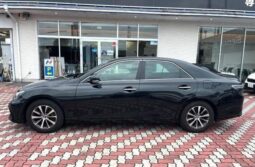 
										2017 MARK X 250S full									